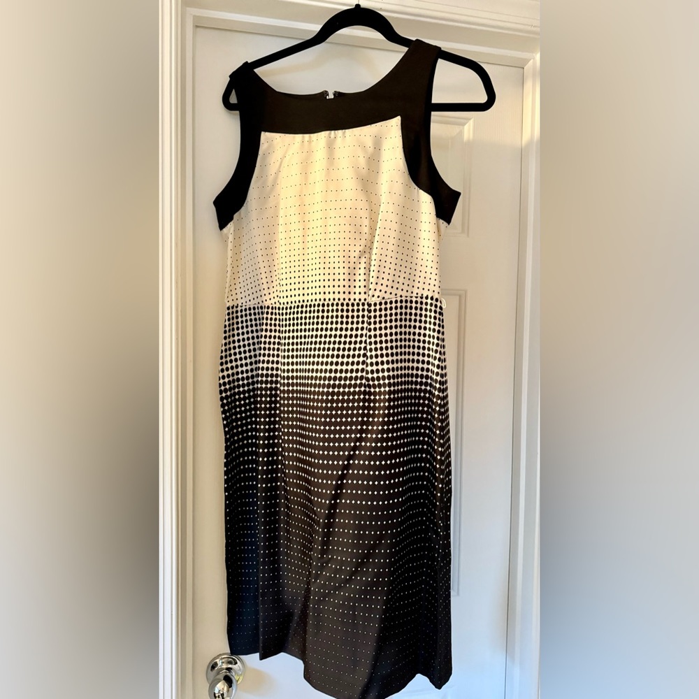 The Limited Black and White Dress